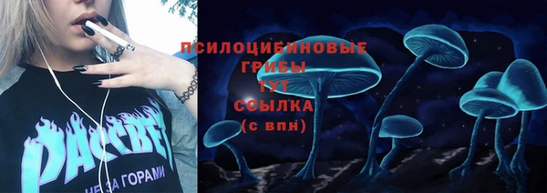 молекула духа Покров