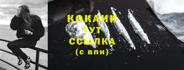 молекула духа Покров