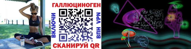 Галлюциногенные грибы ЛСД  нарко площадка официальный сайт  Шилка  дарнет шоп 